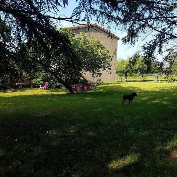 Gite La Roche Paisible Saint-Julien-de-Coppel Buitenkant foto
